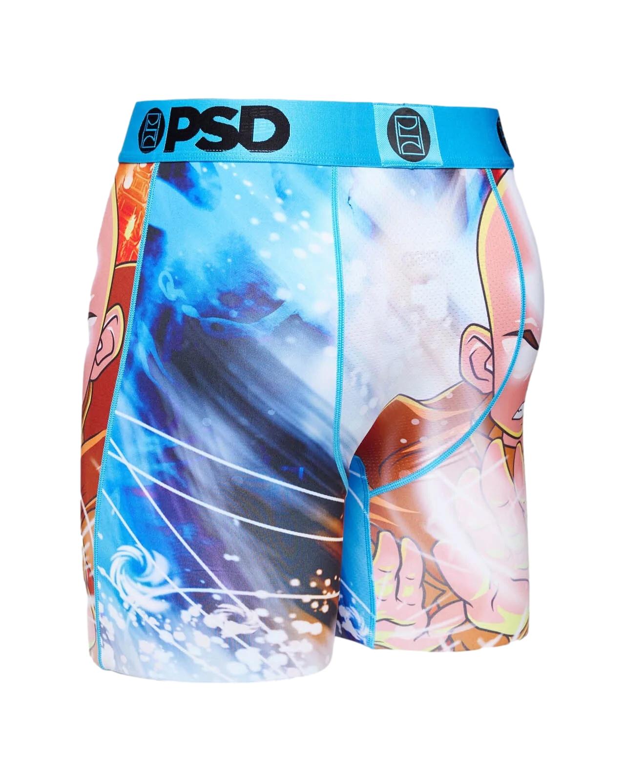 PSD Underwear Men's Boxer Briefs (Multi/Candy Land/L), Multi/Candy Land,  Large